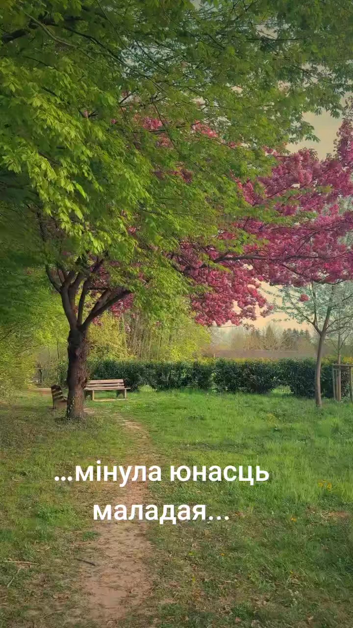 @Masha Orlowskaya