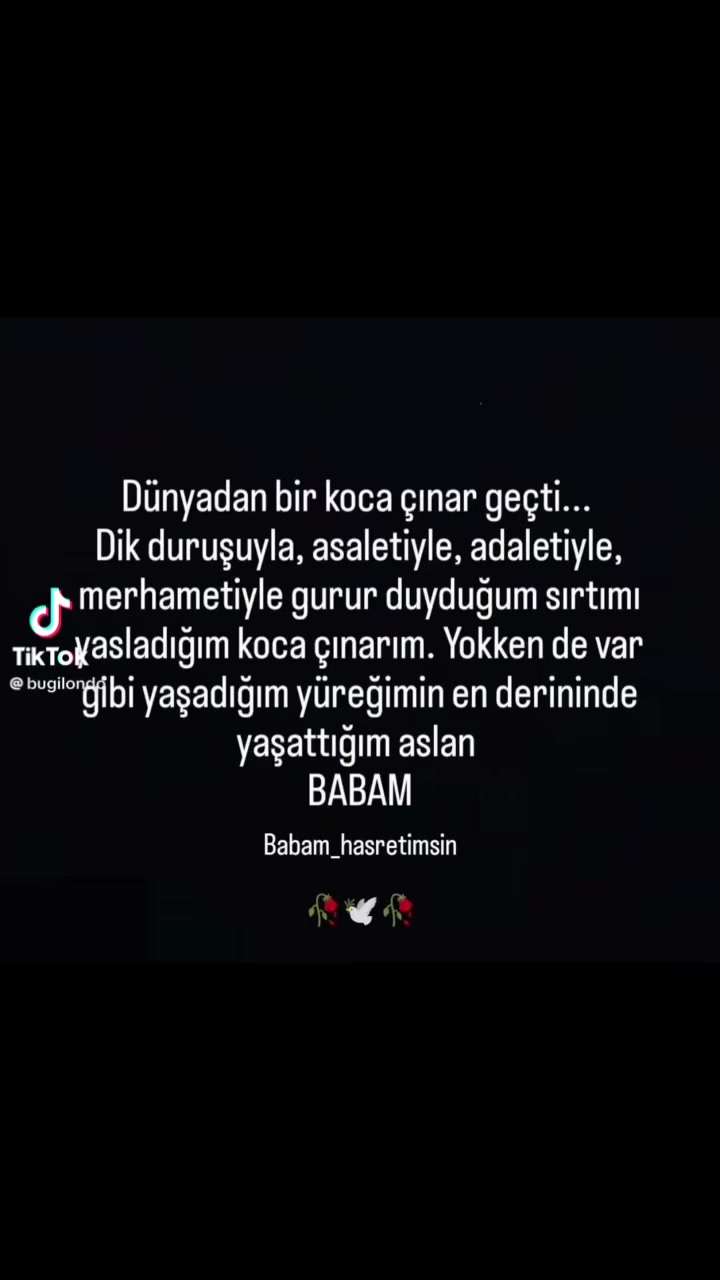 @Gönül Acehan