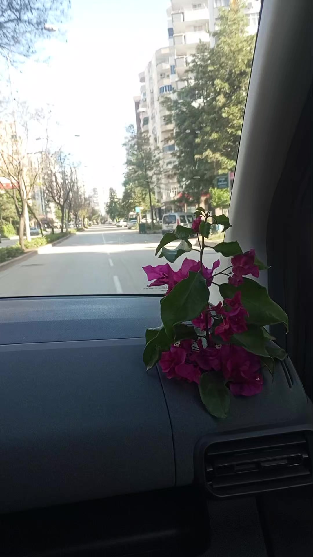 @hanım ağa