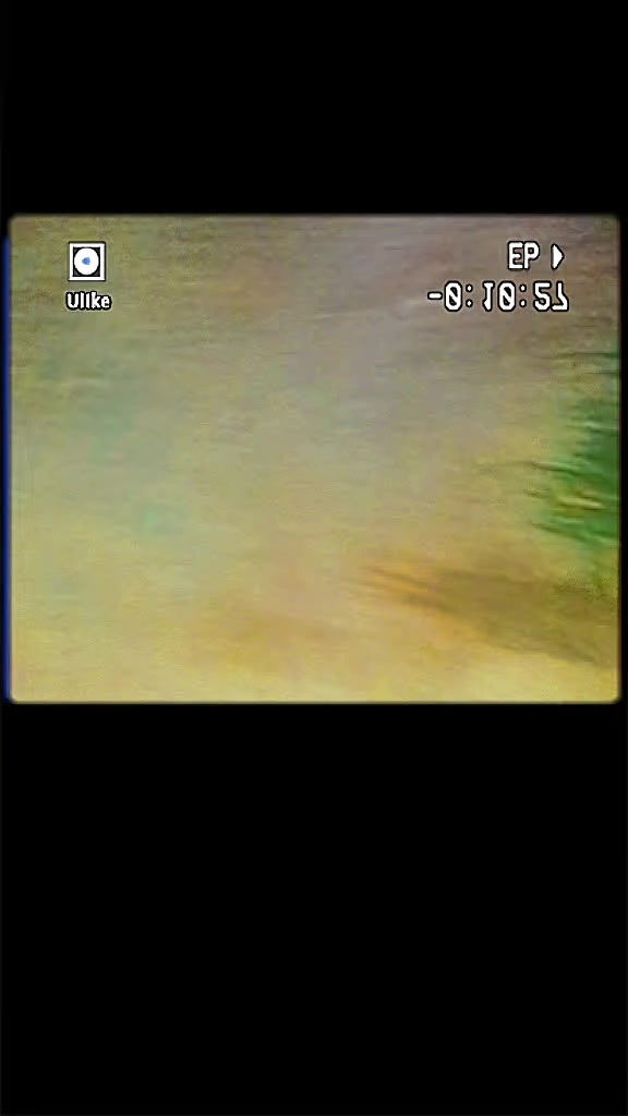 @BVA531🏖💧