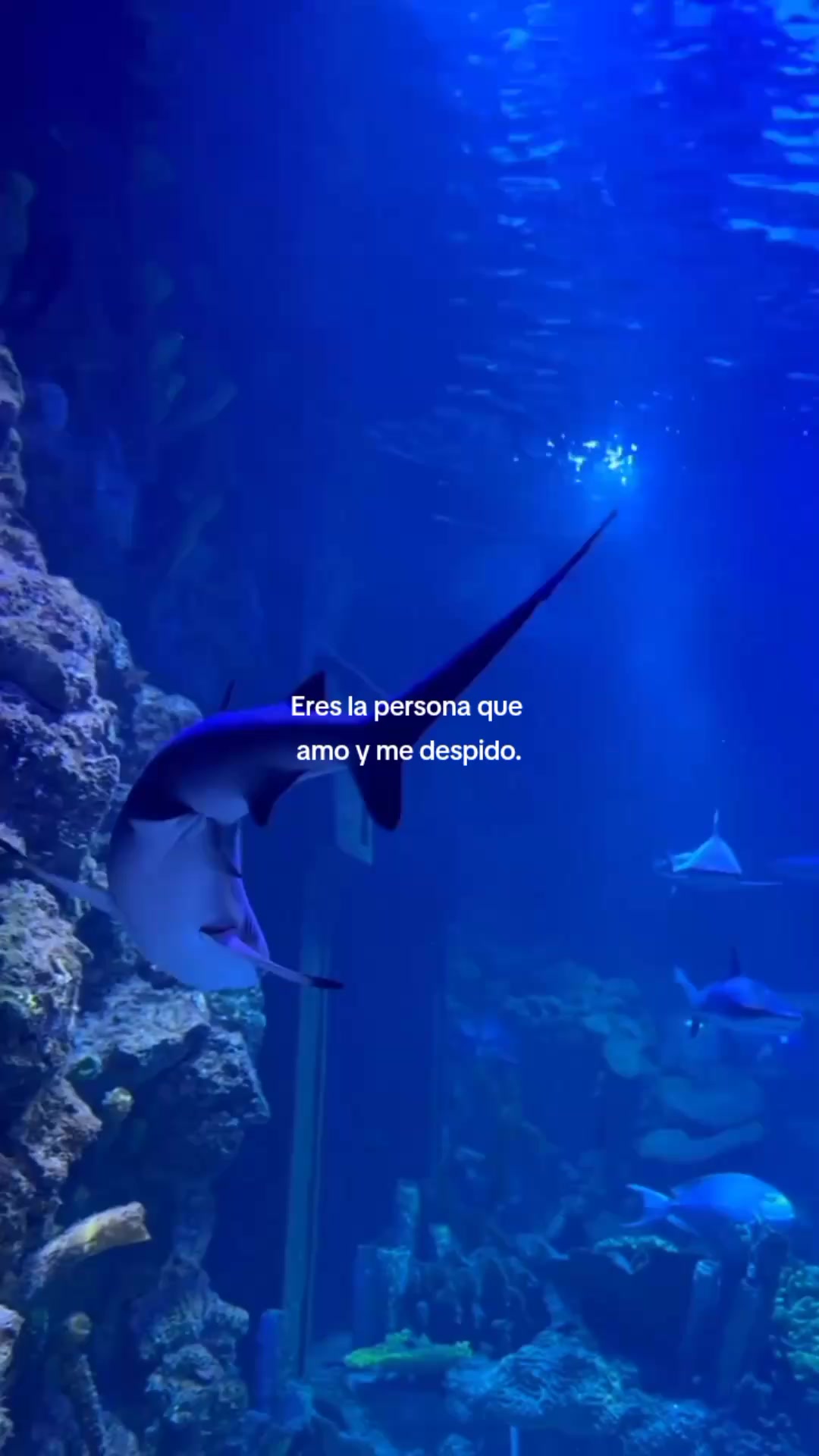 @Mariana