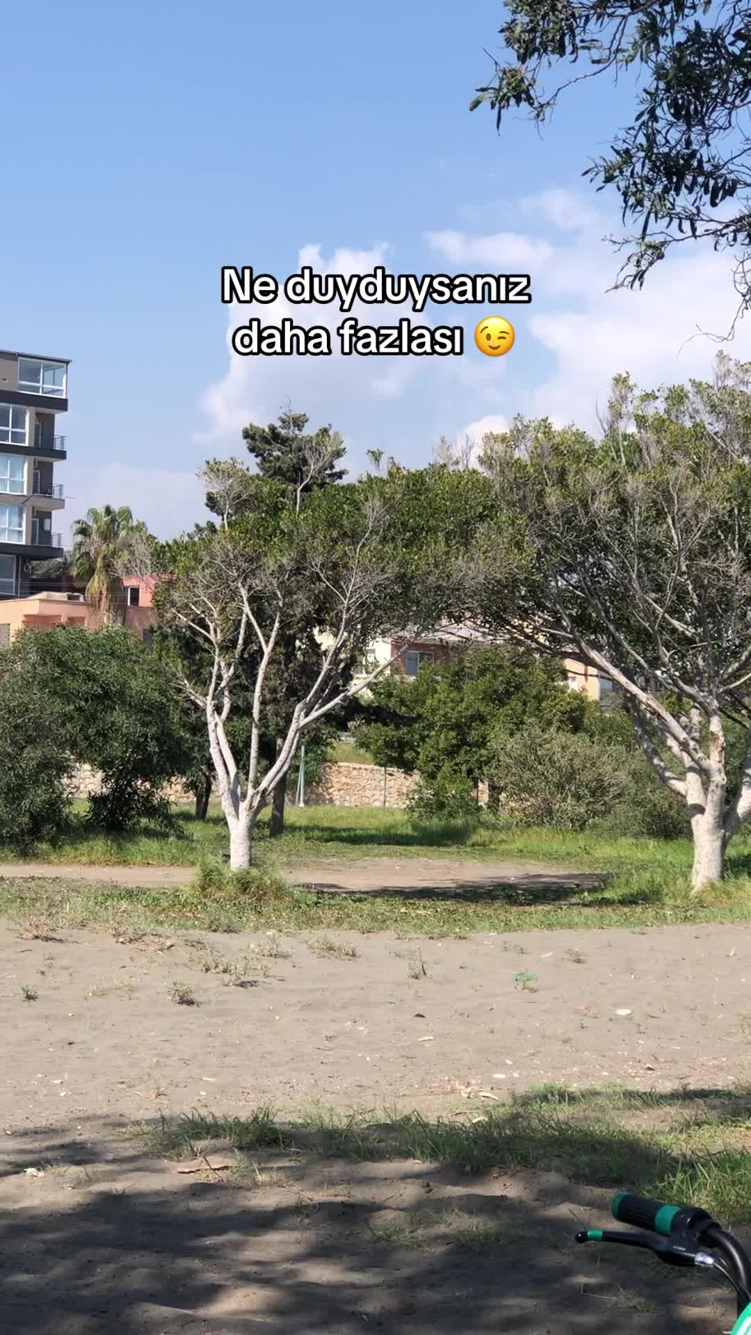 @arda_şimşek