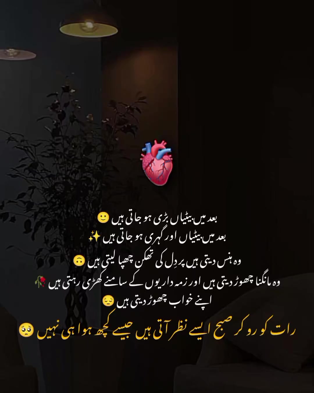 @MrS ArSaLaN♥️