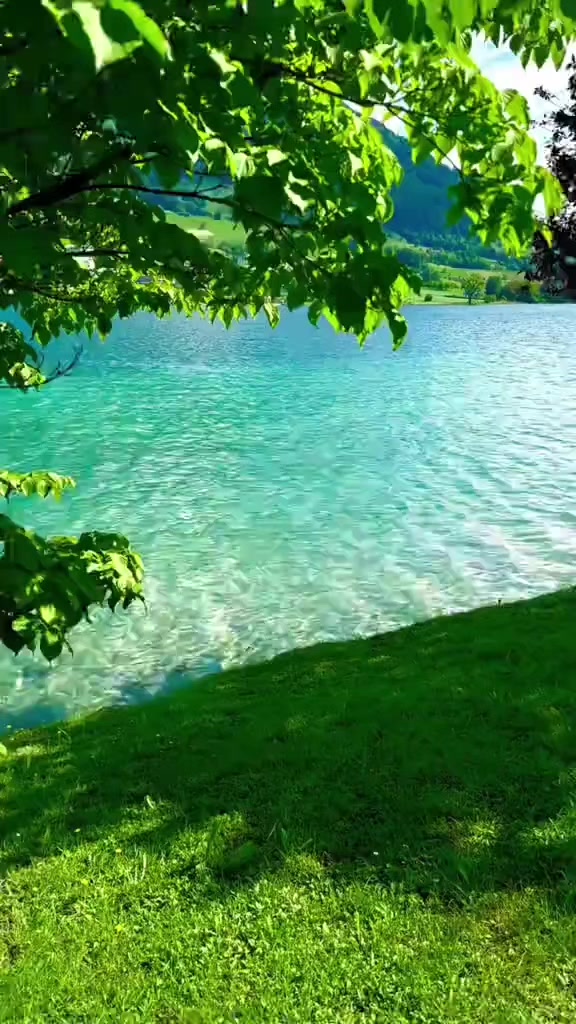 @واثقه بالله