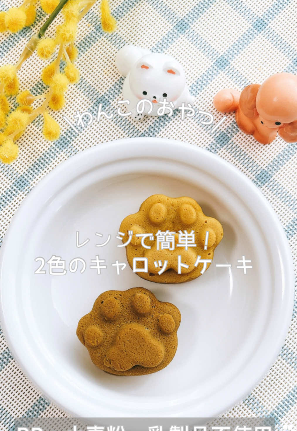 @ゆきえもん|手作り愛犬おやつ