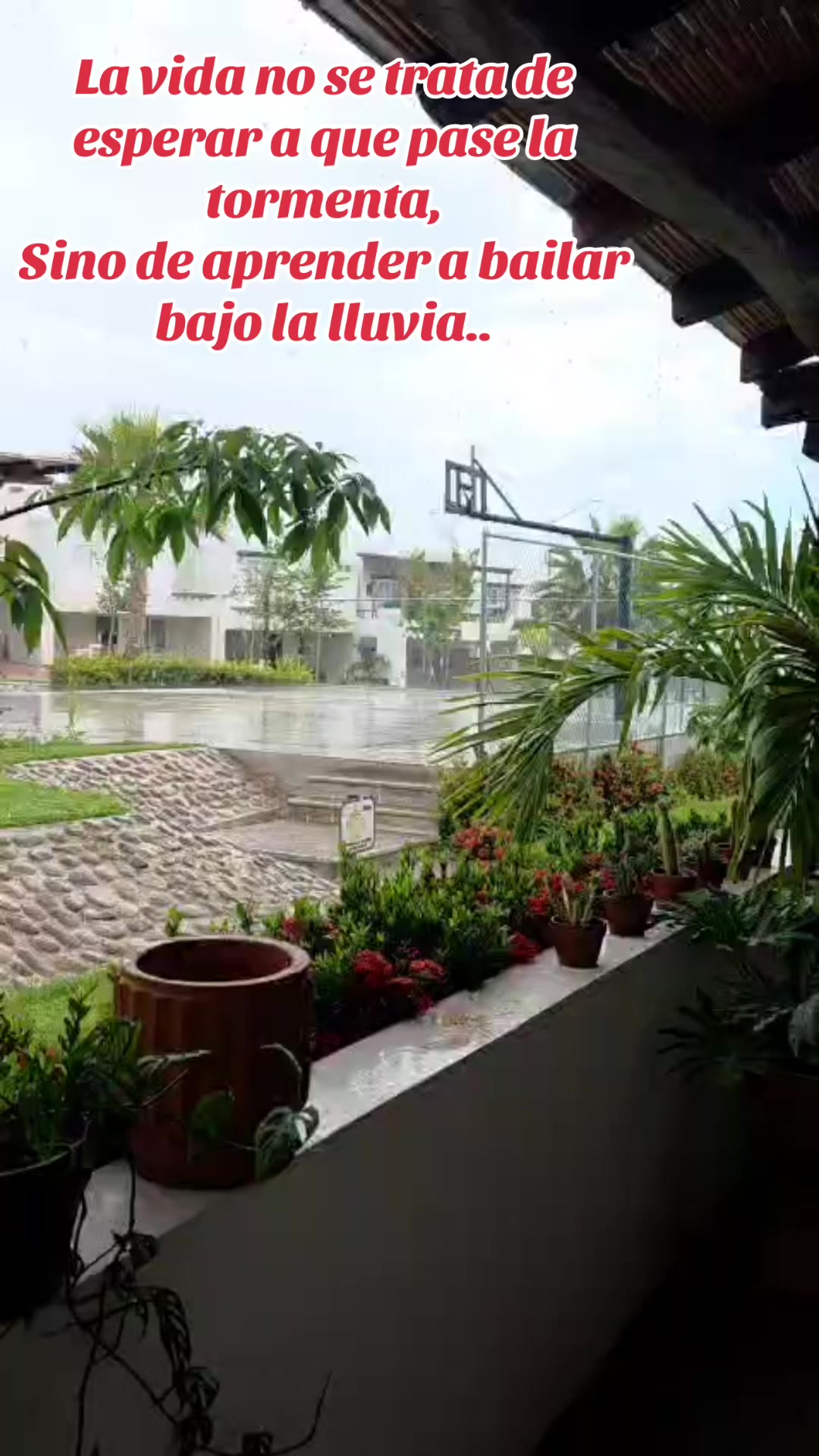 @El Osuna