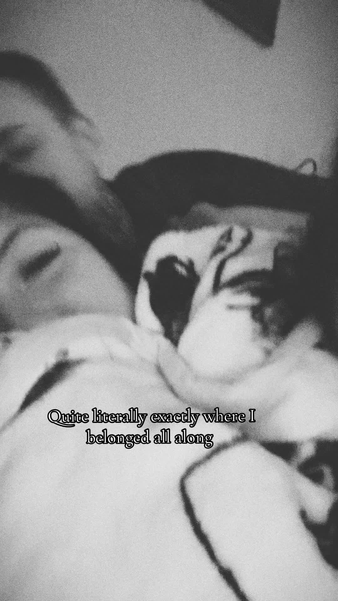 @🎚️🐮 Shawntel_not_Chantel 🌻