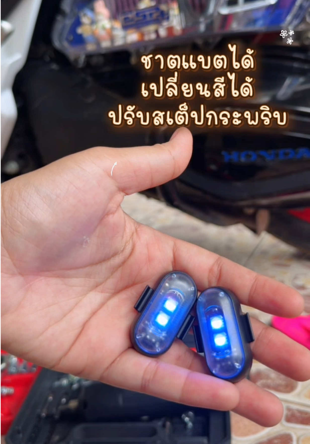 @🔰ธัญญรัตน์ ขนส่ง🔰