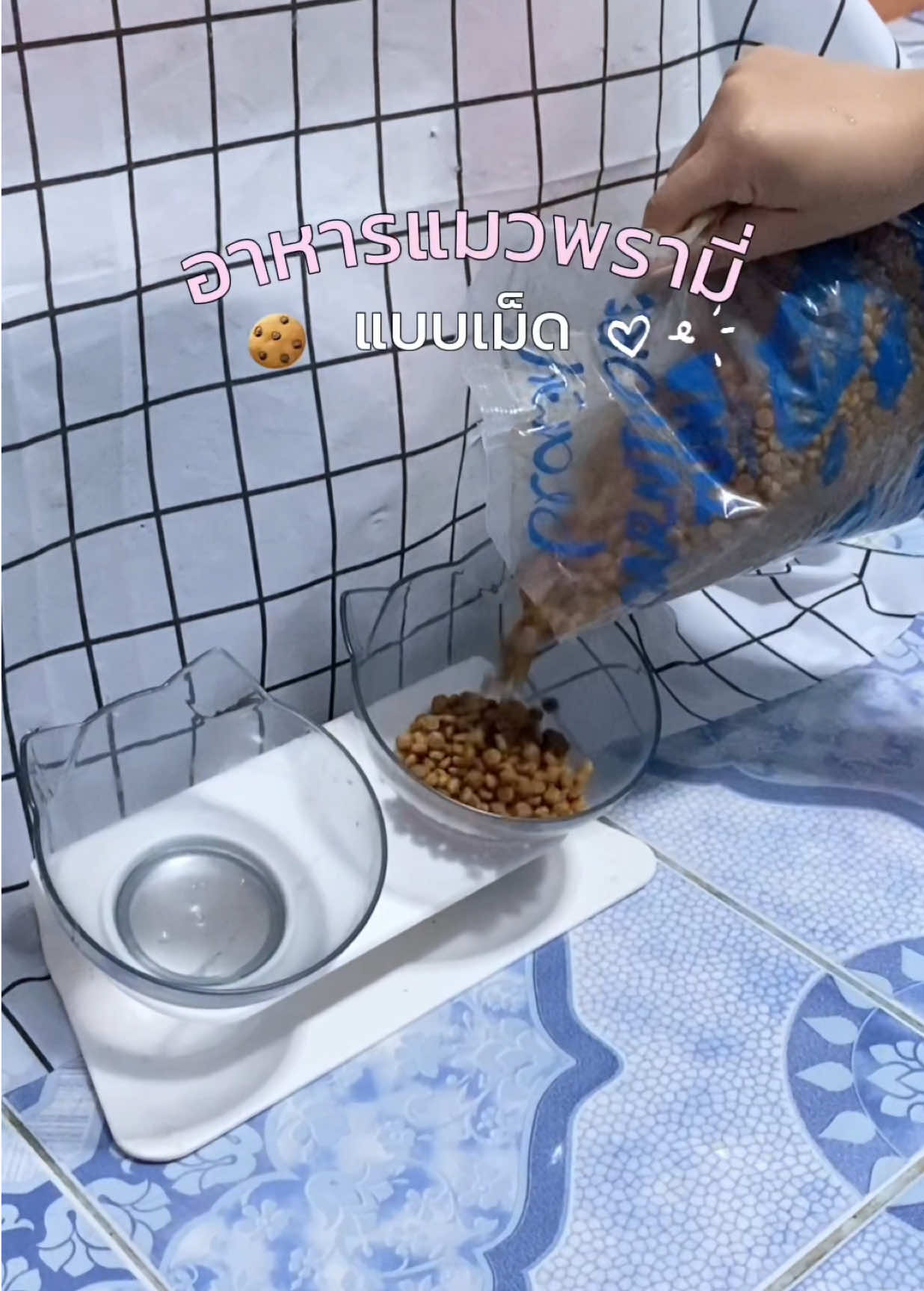 @ซันนี่ไม่อยากทำงาน🥺