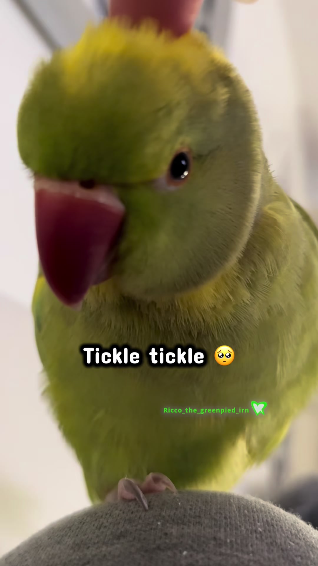 @Ricco