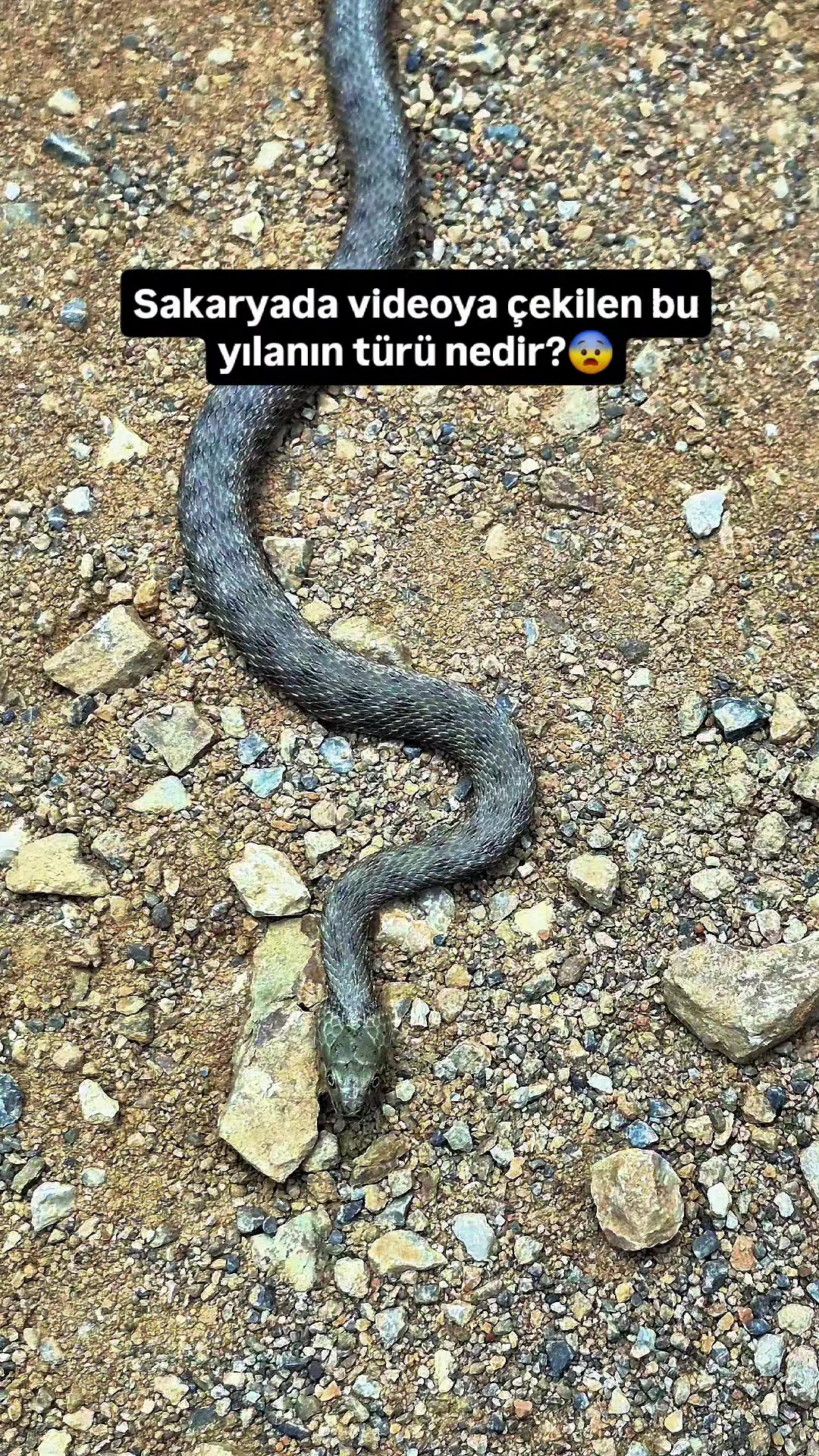 @Muhammed karakuş