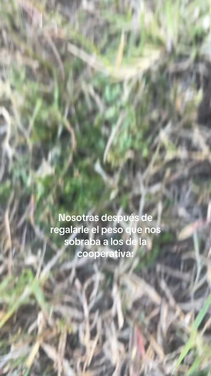 @Dubiduss🌟