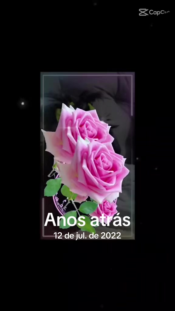 @#Bella#amais#bela.