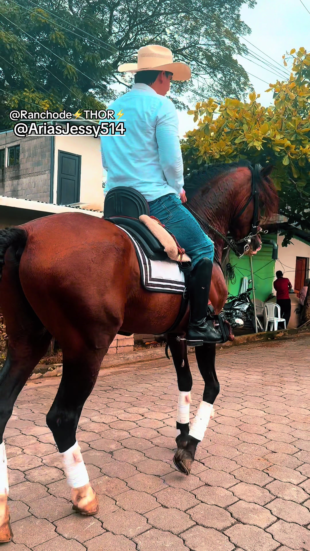 @EQUINOVET NICARAGUA