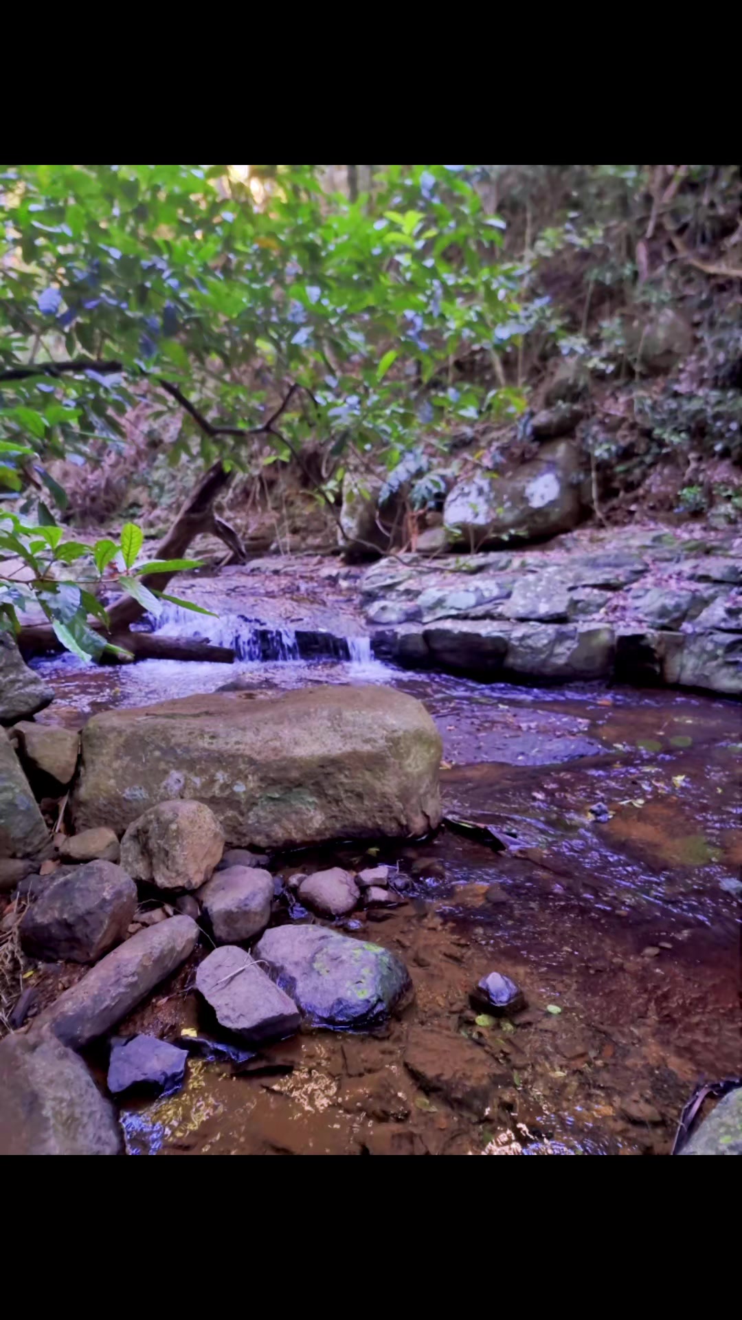 @Aces hike tok