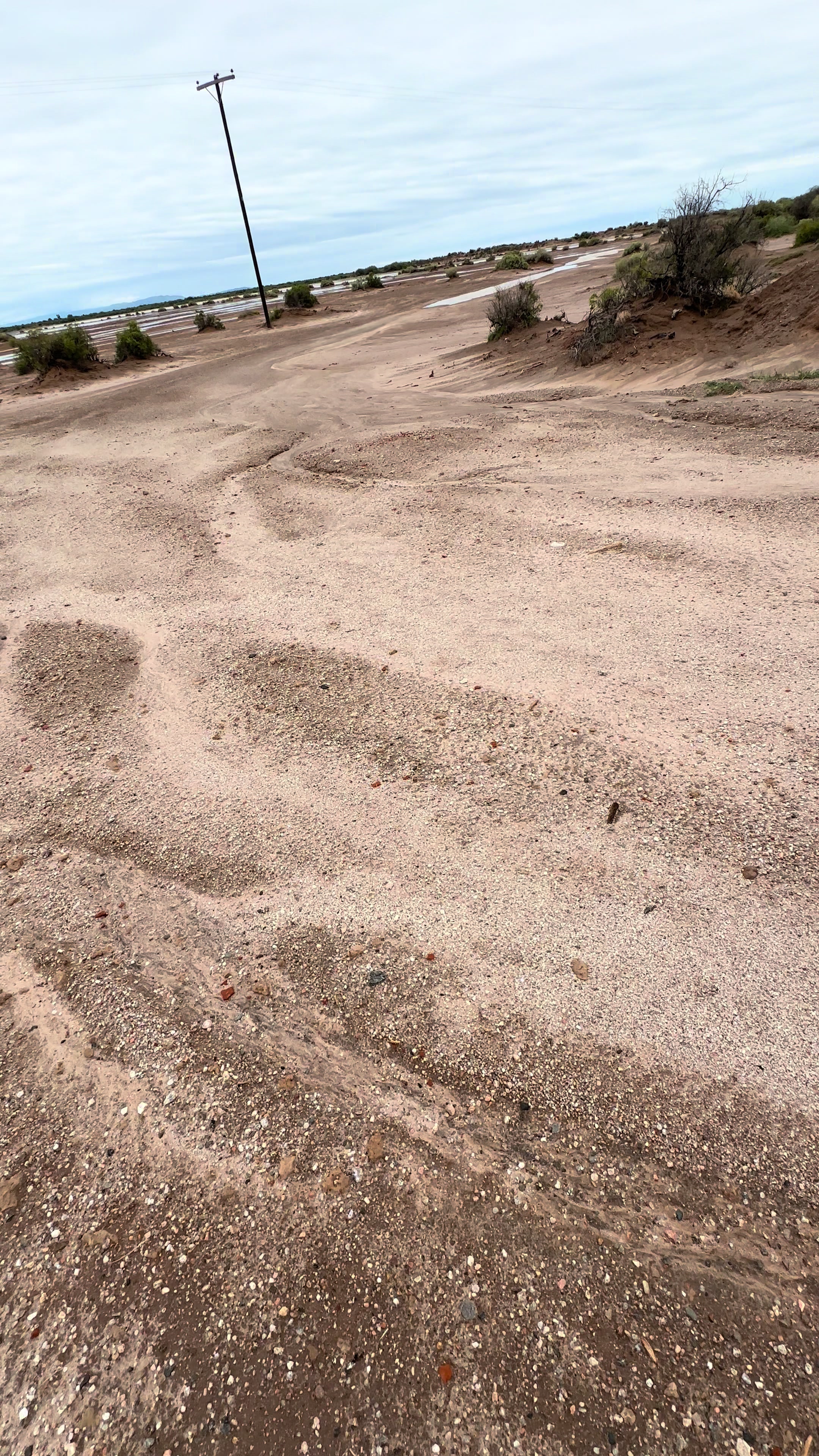 @Cande Flores