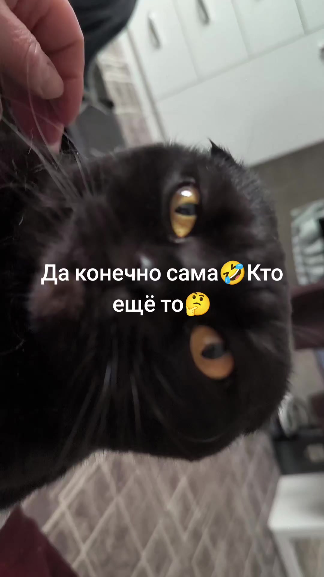 @Valentina Sh