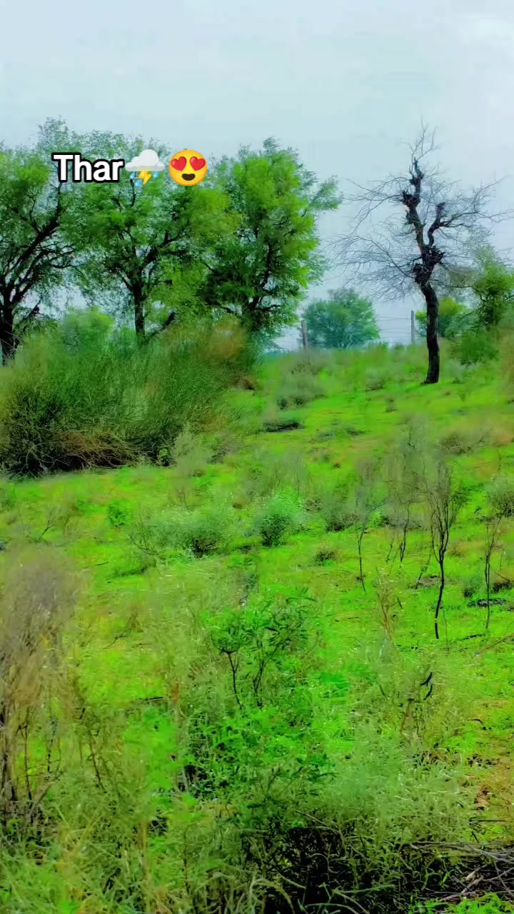 @فوزيه سومرو🥀❤️