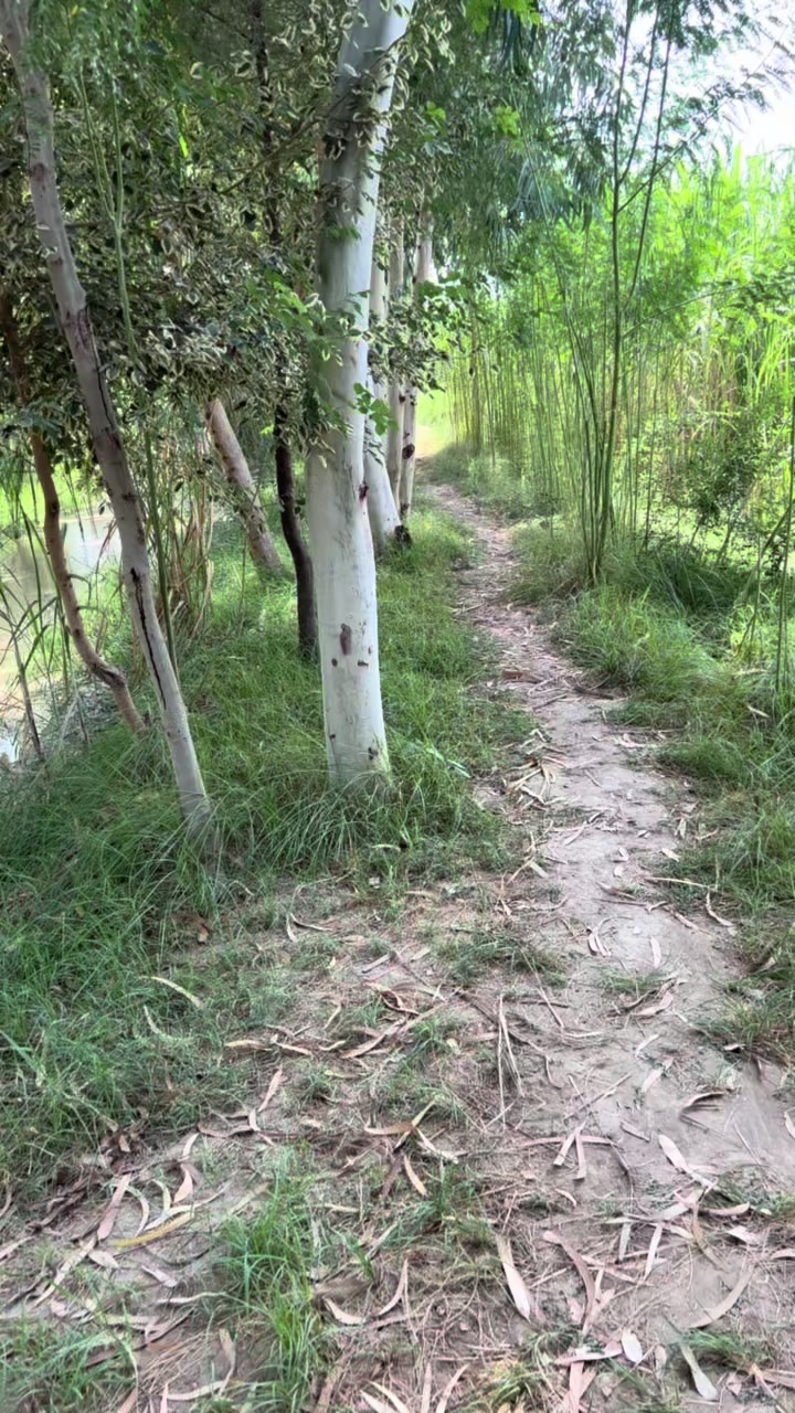 @🍃𝓑𝓱𝓾𝓽𝓽𝓸 ✨