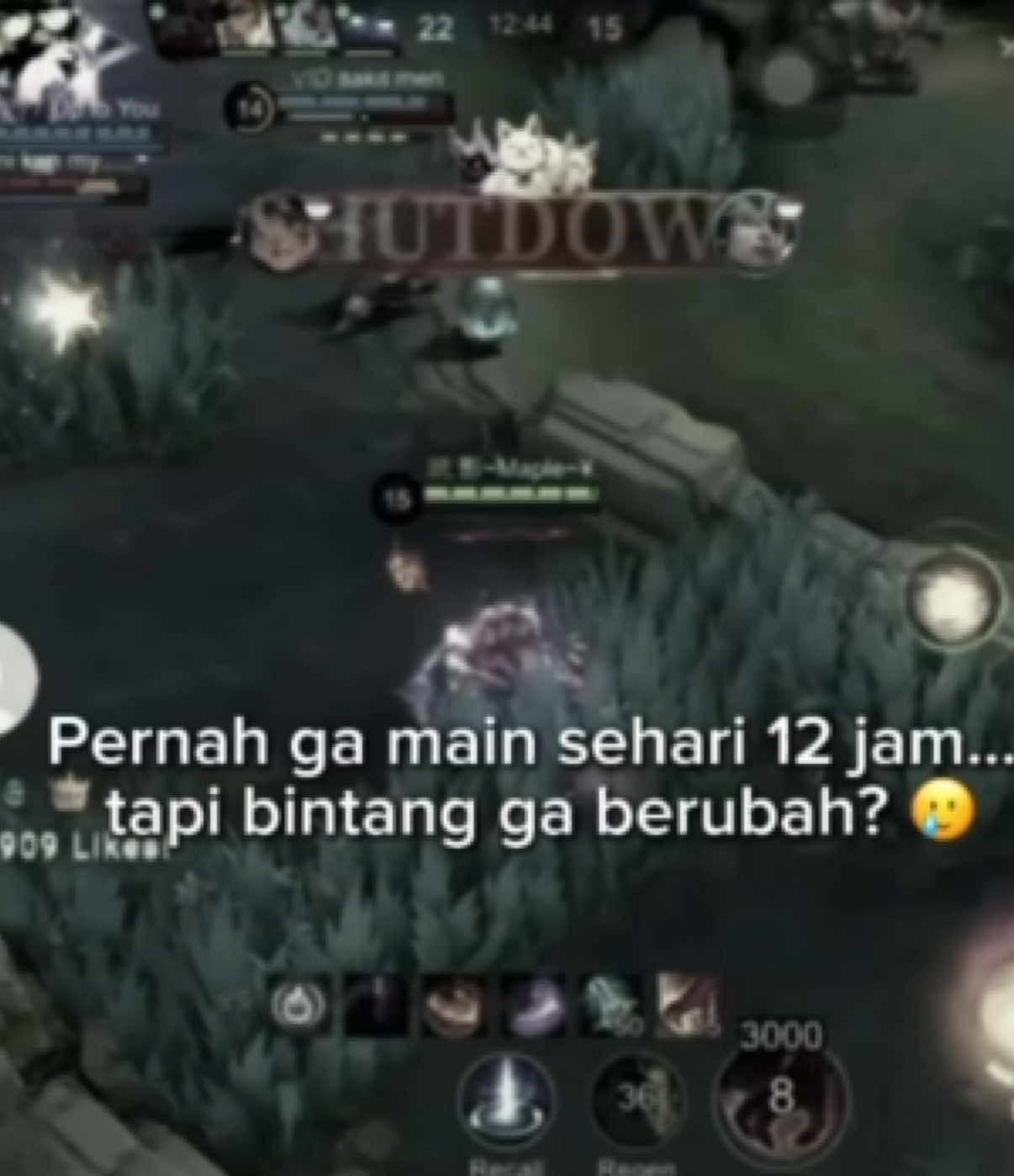 @maple