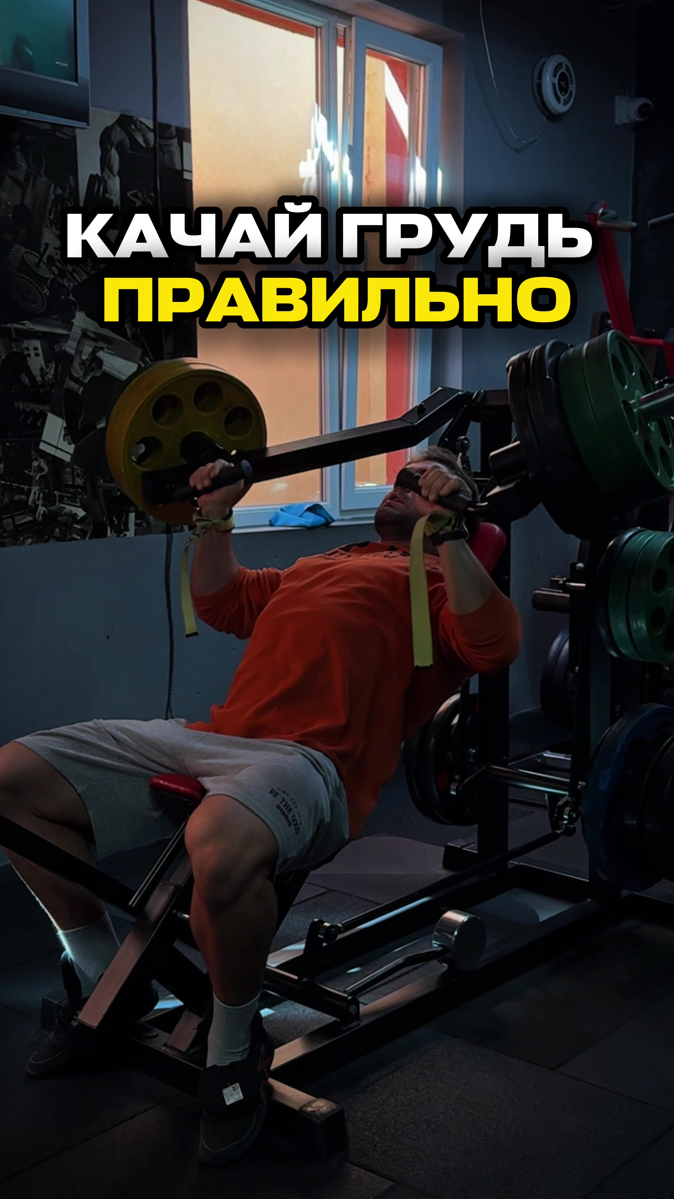 @ТГК: IGOR RYBAK