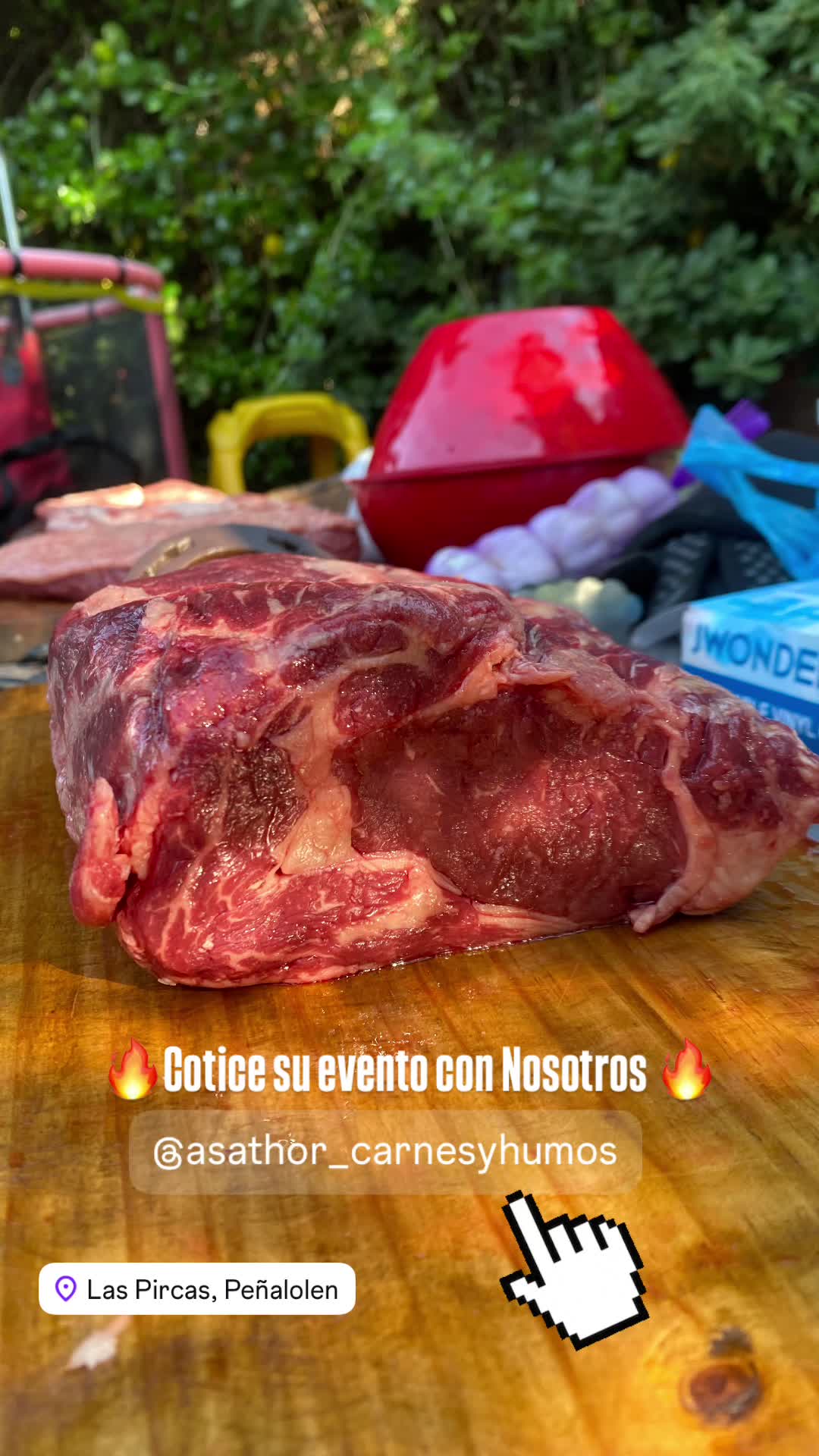@asathor_carnesyhumos