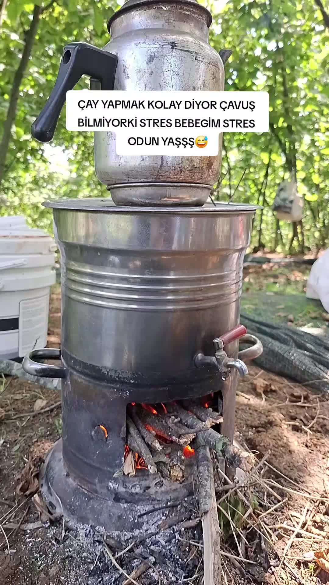 @nesibe Zengin ünlü