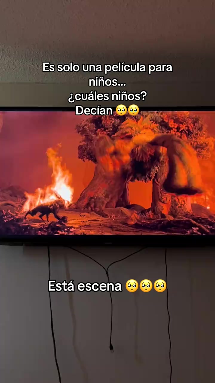 @Arianaplz
