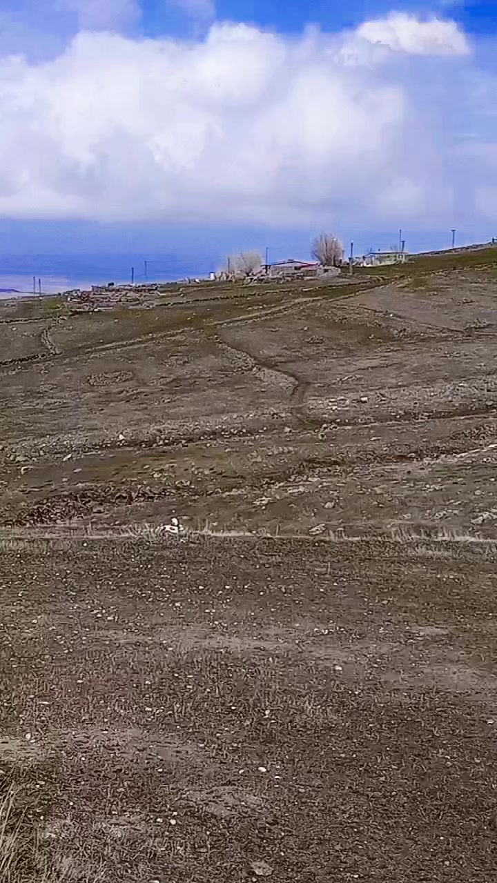 @EFE. &Ouml;ZG&Uuml;VEN 76