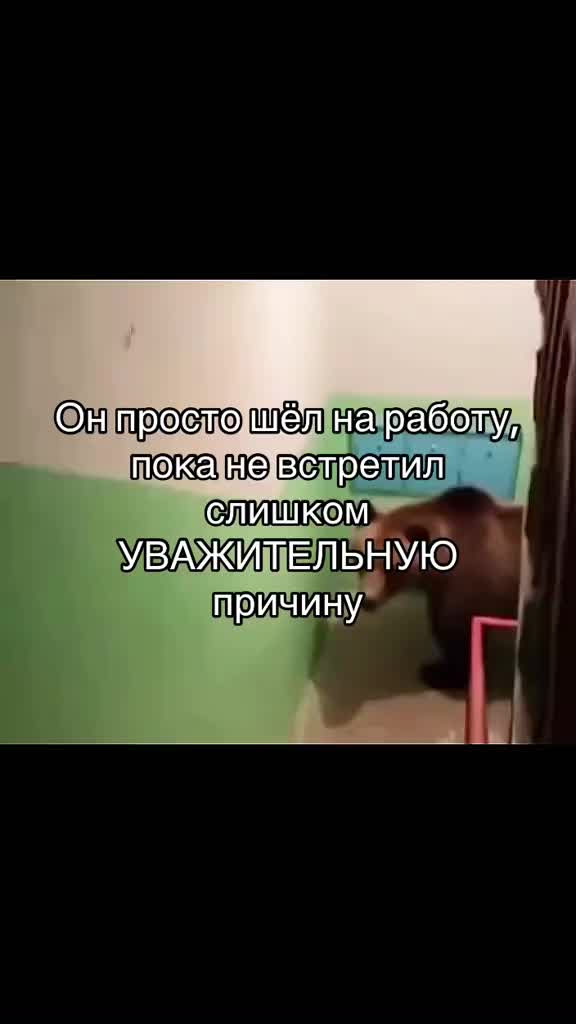 @user5084865435608