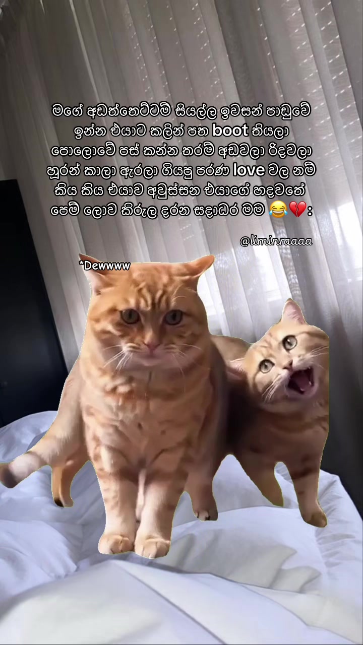 @Lisumi Jayawardana