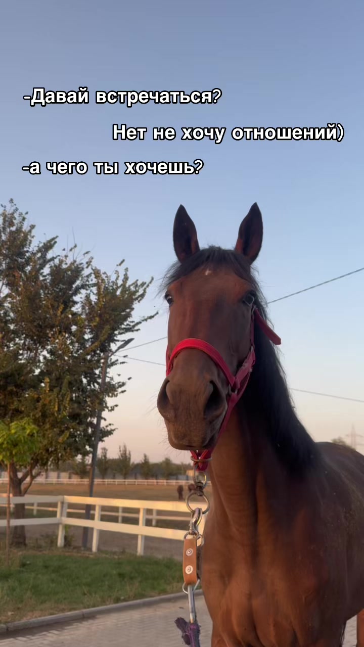 @🐎Ева🐎
