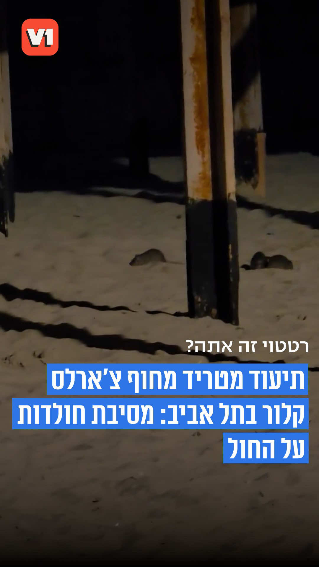 @V1 israel