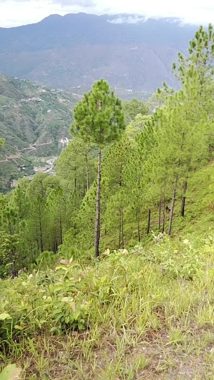 @Gautam Tamang