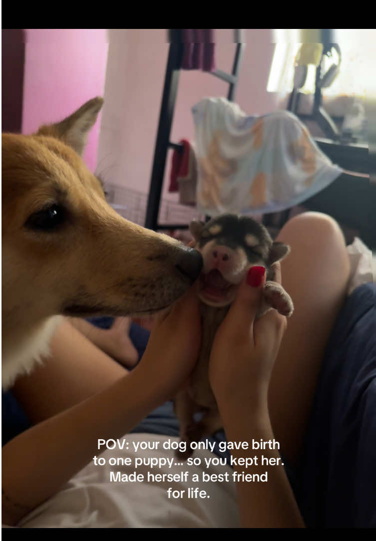 @nazrenegutz on IG