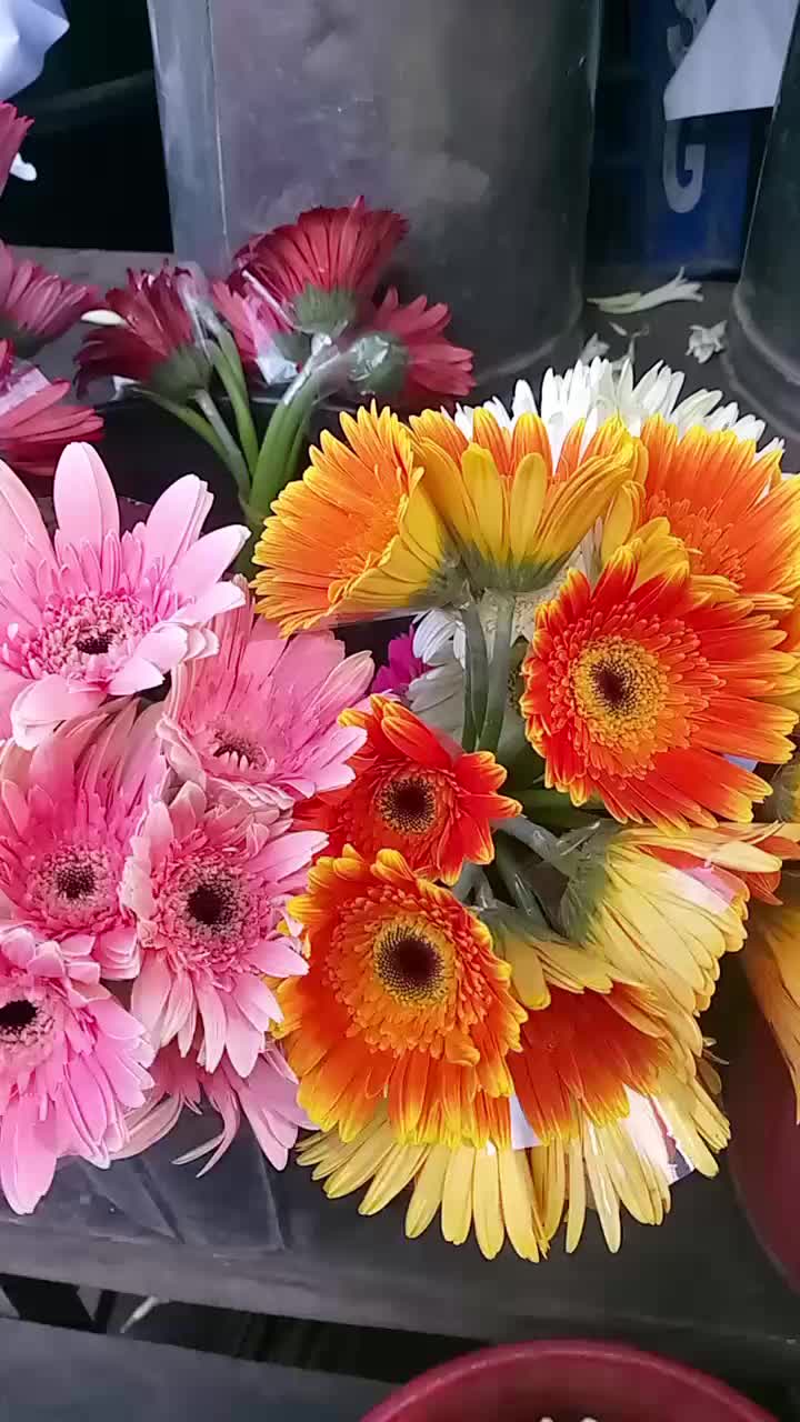@সাথী