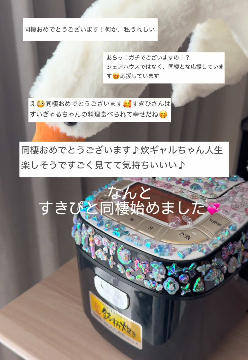 @炊飯器ギャル（すいぎゃる）
