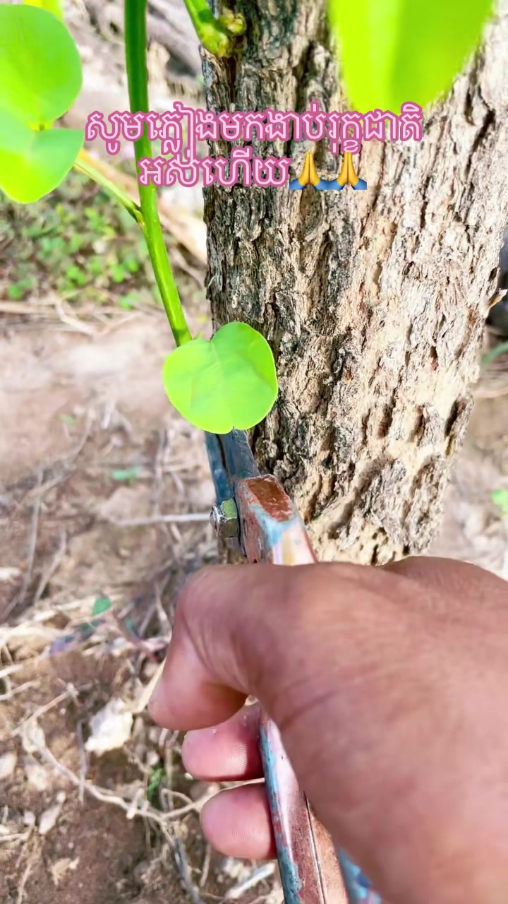 @តា បេ ស្ដេច តែសុខភាព❤️🇰🇭