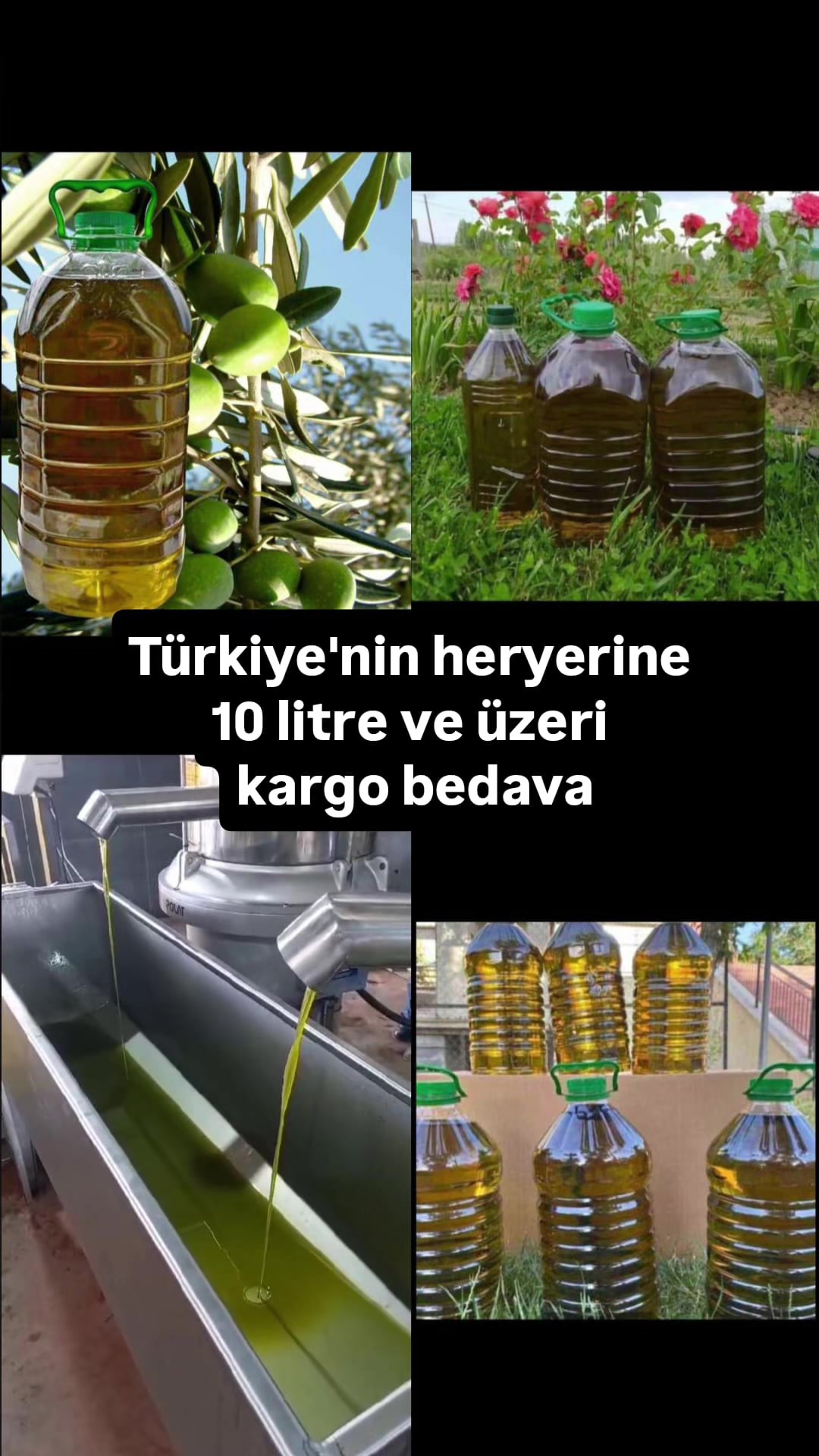 @🦅꧁𝓝𝓮𝓼𝓲𝓫𝓮꧂