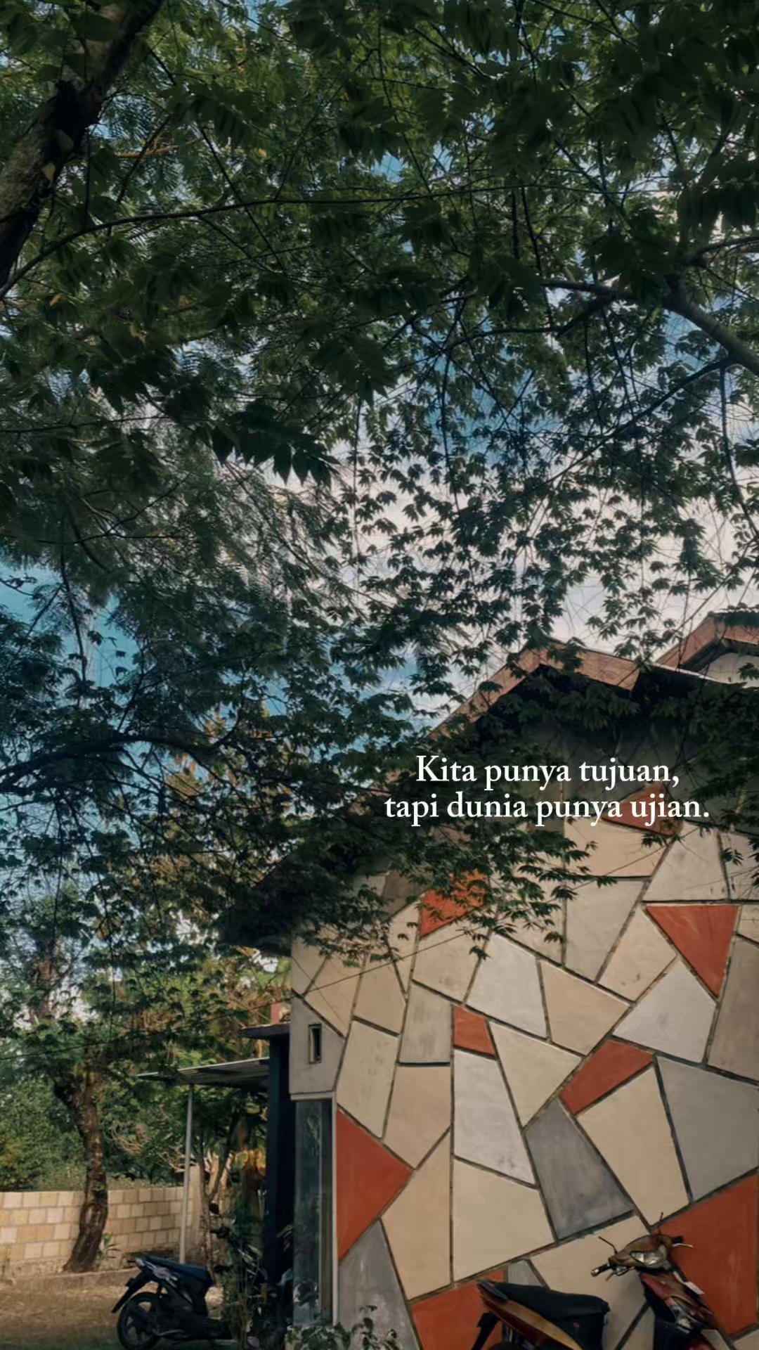 @Frifoni M. 🤍