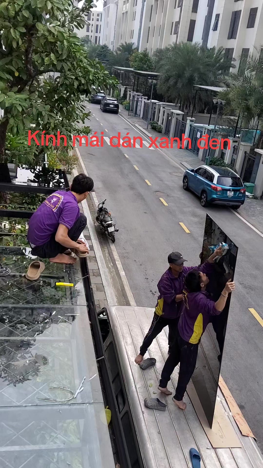 @Dương Tam Glass