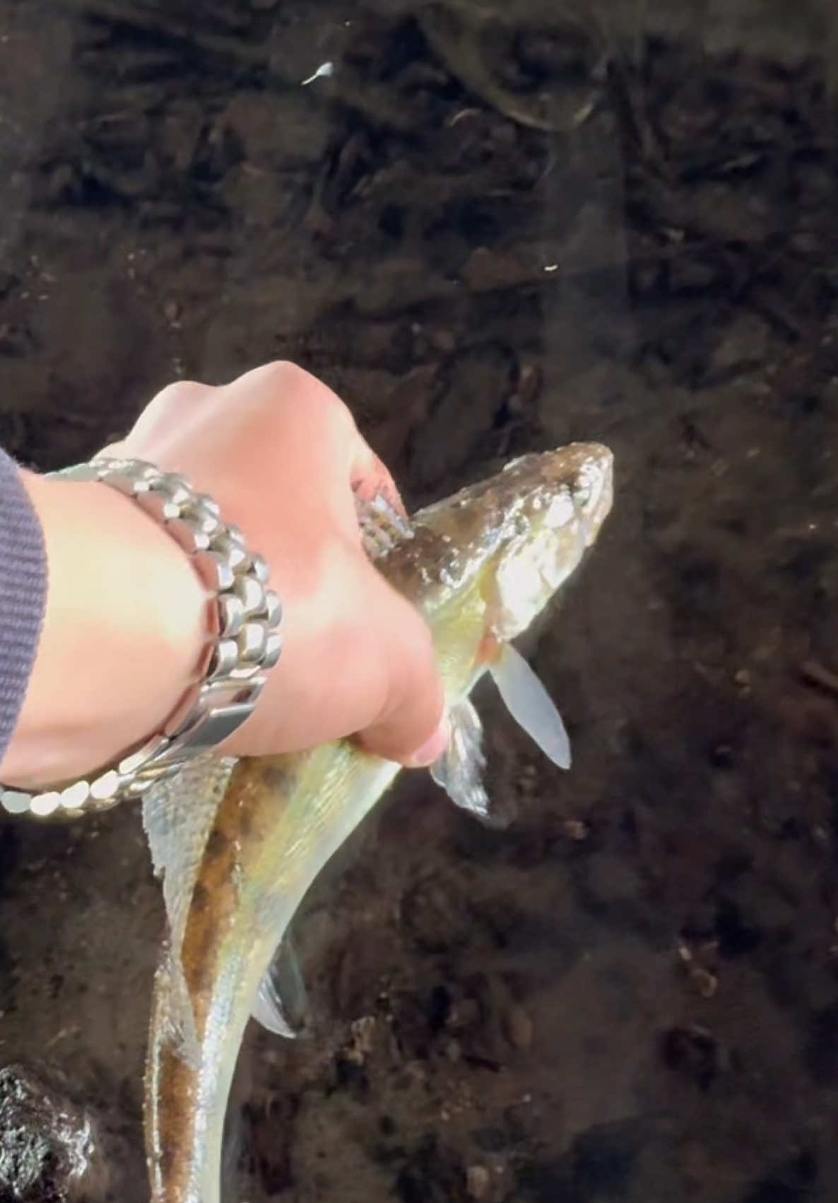 @𝗧𝗚.𝗗𝗬𝗫𝗙𝗜𝗦𝗛🎣