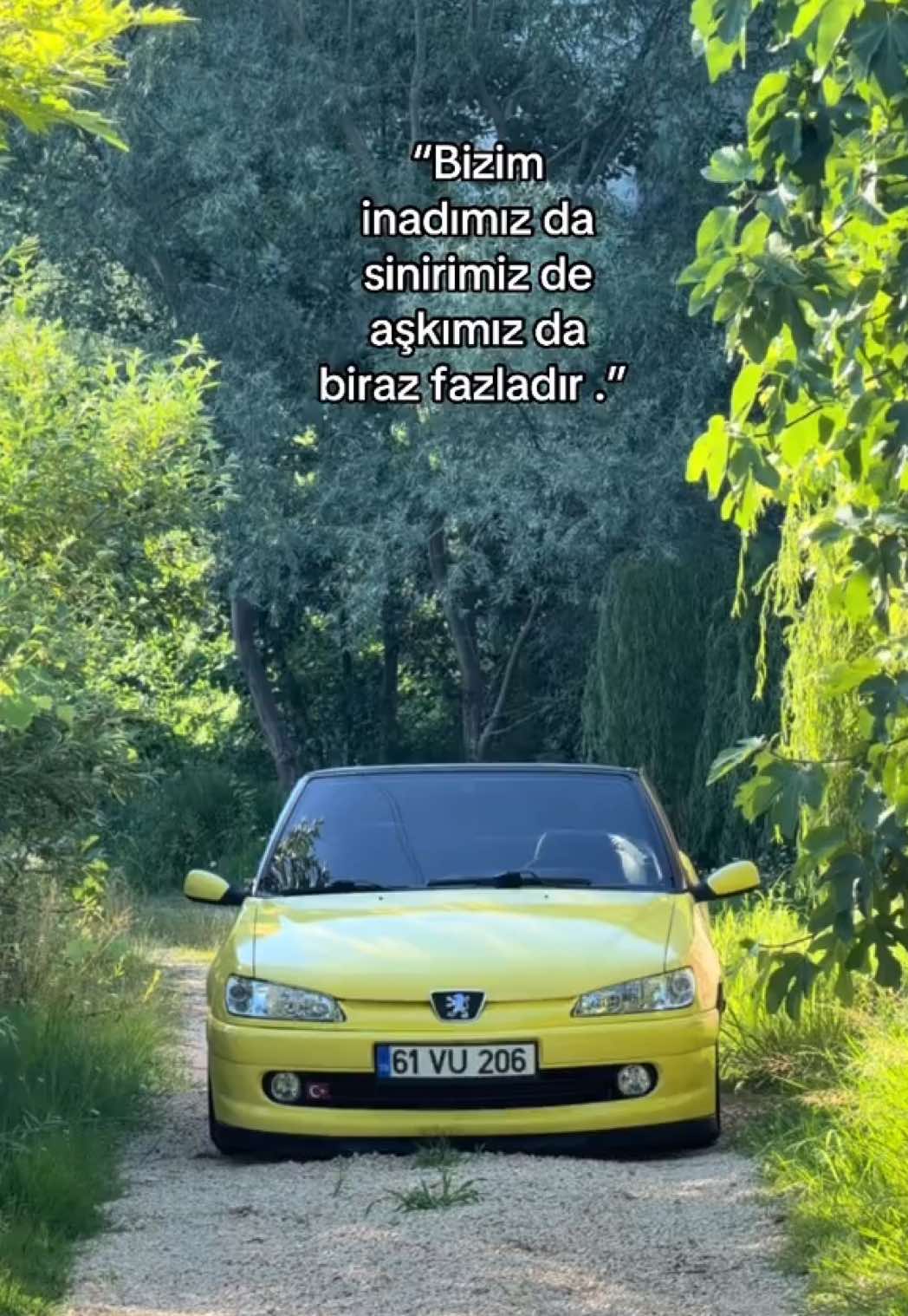 @Ayb&uuml;ke Kadı