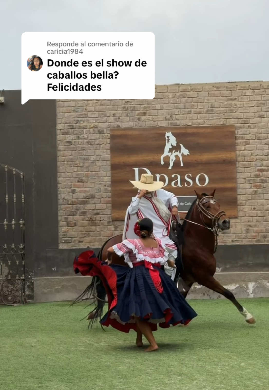 @Paola Guerra V