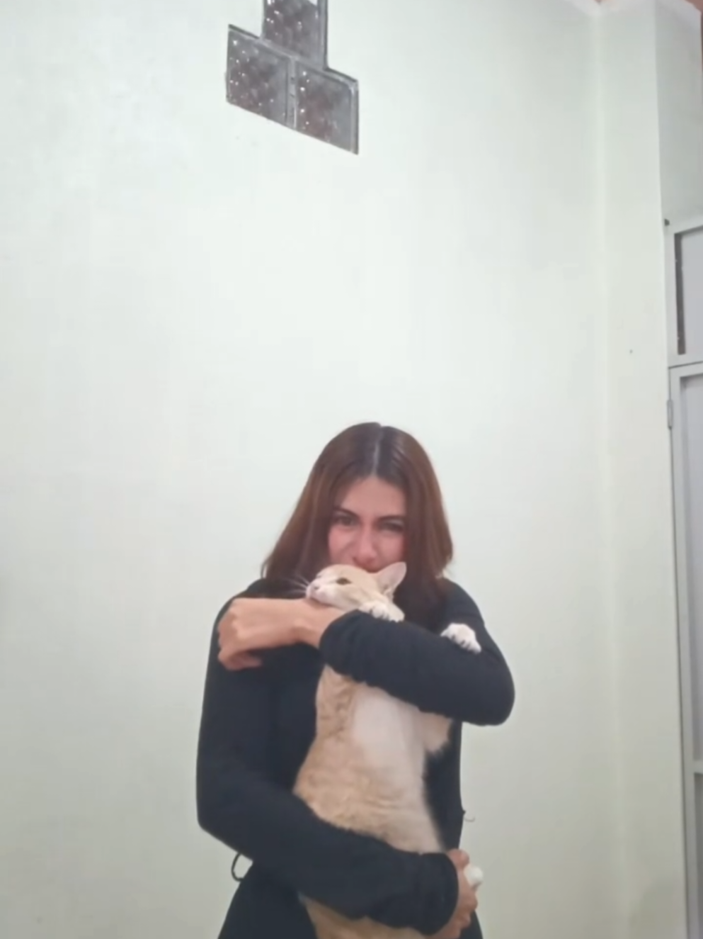 @Momi♑