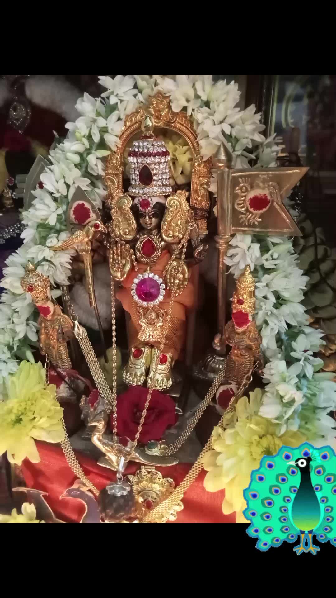 @mahenThevar