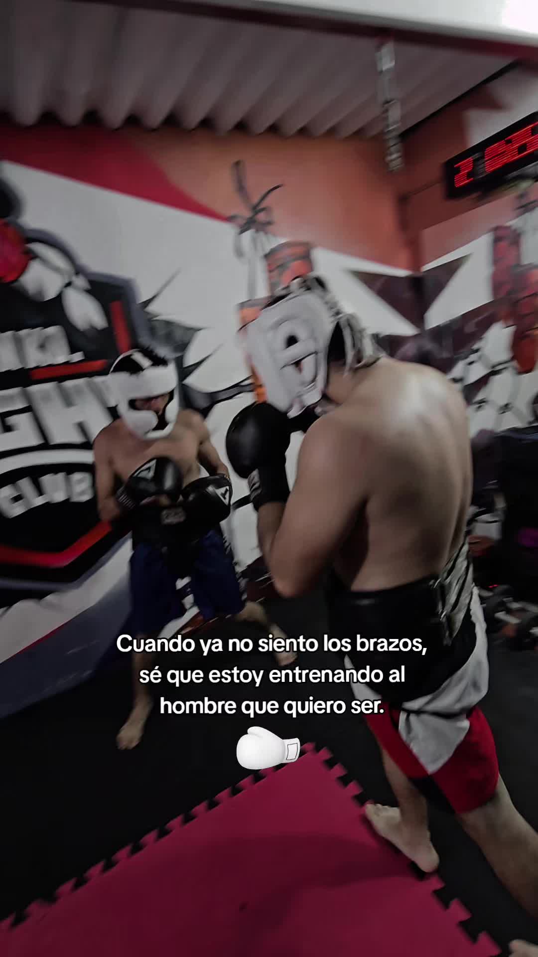 @EL DON K.O.🥊