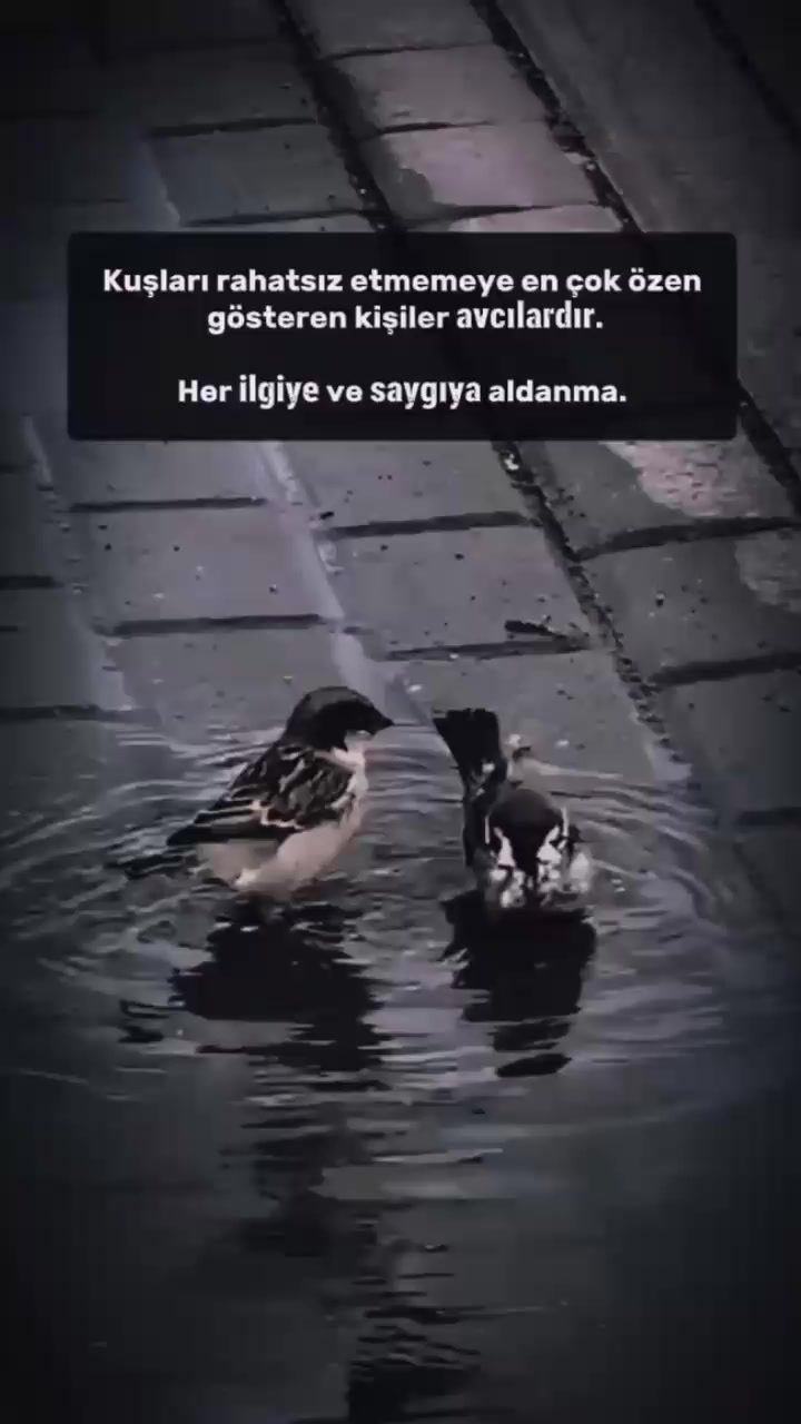 @Esra sagıt