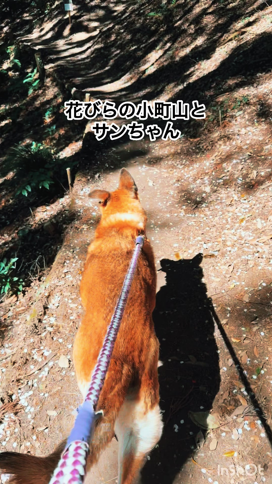@ミウラ•リョーコ(イーツカ•リョーコ)