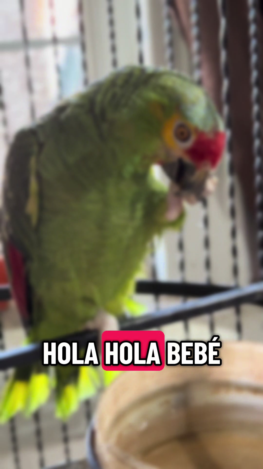 @Dora Rodriguez